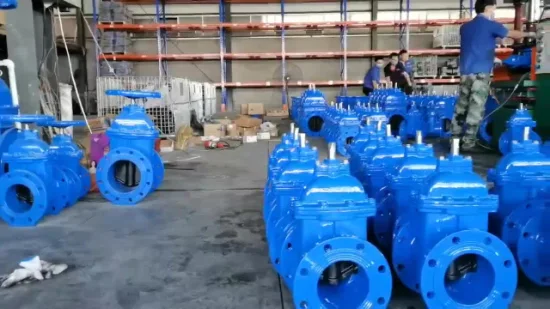 Double Expanding Gate Valve Double Flanged Resilient Seal Gate Valves